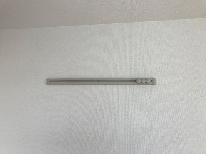 レセンテベルタ その他11