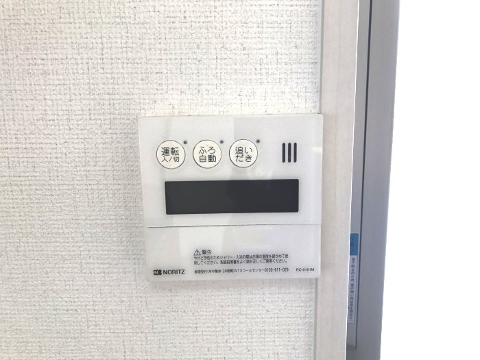 レセンテベルタ その他13