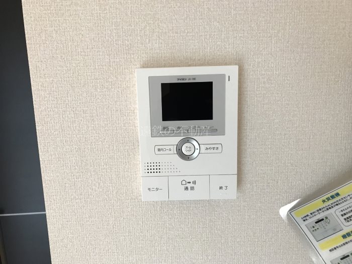 セレーナ その他4