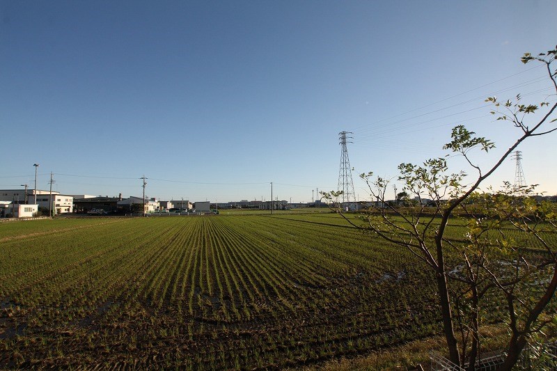 すずらん その他6