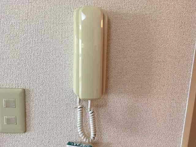 Limpia垂木 その他5