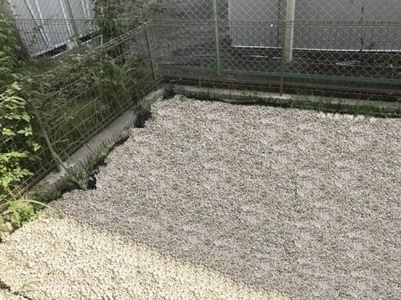 エクセレンテ ベランダ