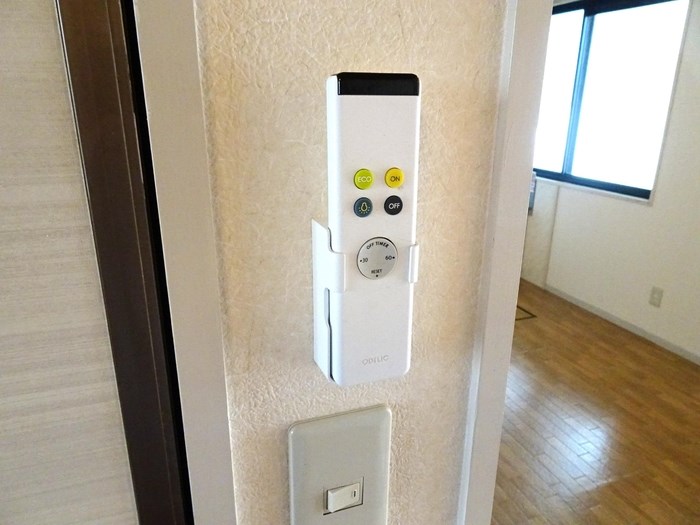セジュールビオレット その他