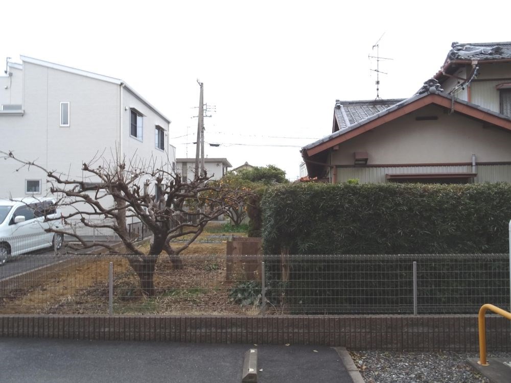 モルト その他6