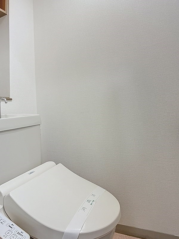 ブライティ助信 その他1