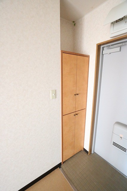 IVYキャッスルⅡ 玄関