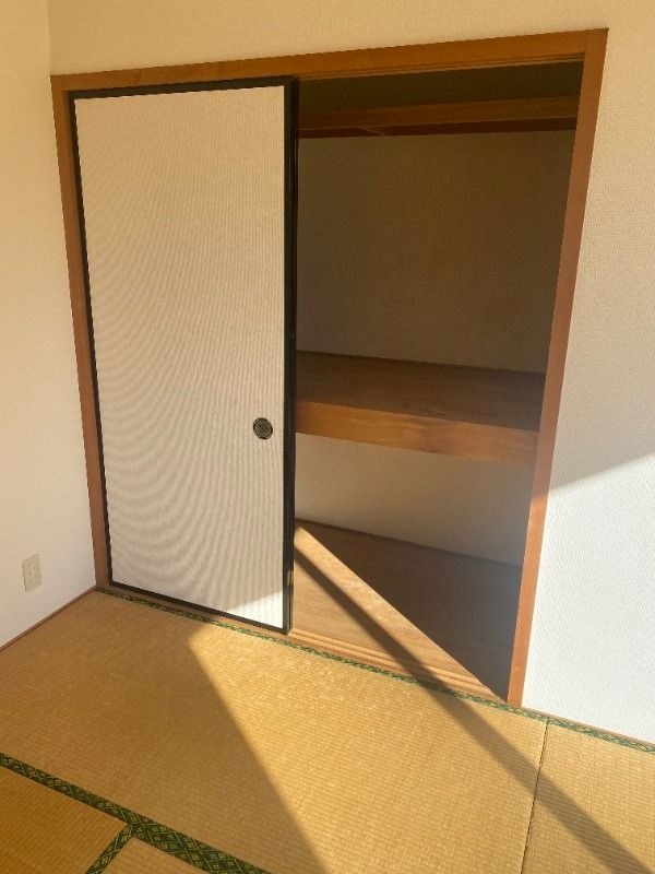 サンフラワーⅡ その他3