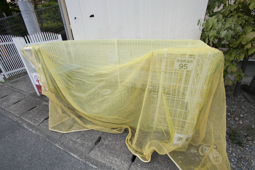 フォレスト住吉B その他外観3