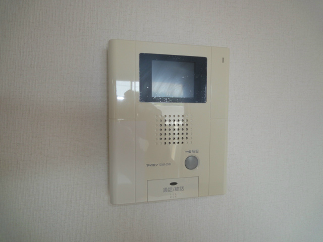 ブエナビスタ セキュリティ