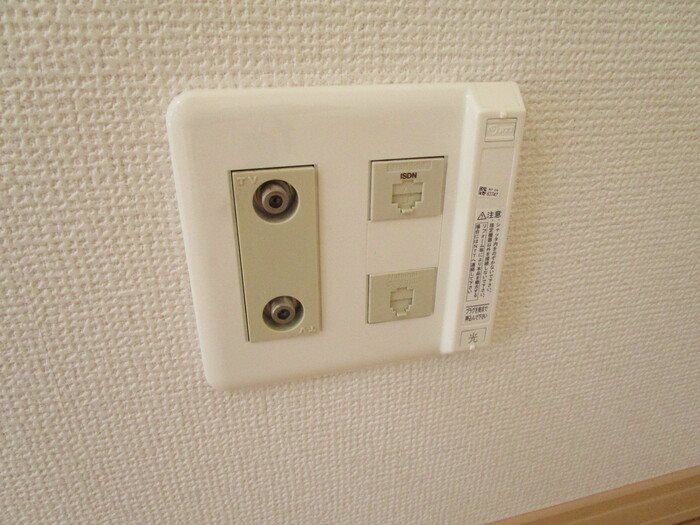 ウィルモア吉栄 その他