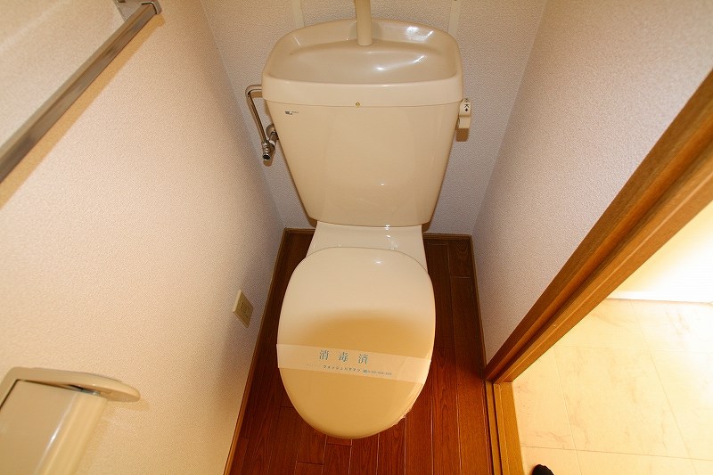 シェモアC その他2