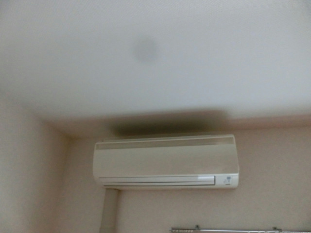 ジュンオアシス その他5