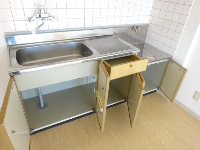 ヴィーブルオガイ その他