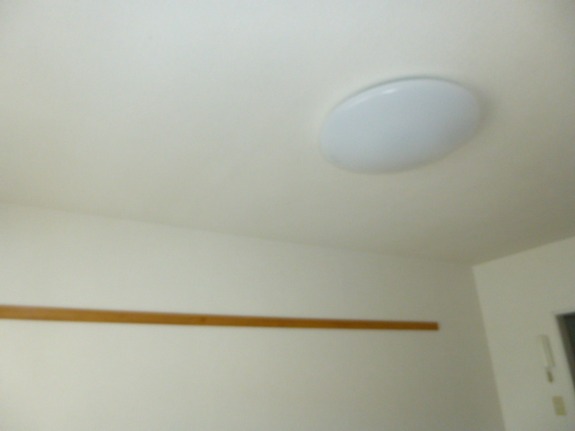 コスモス10 その他6