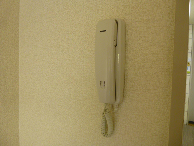 コスモス18 その他4