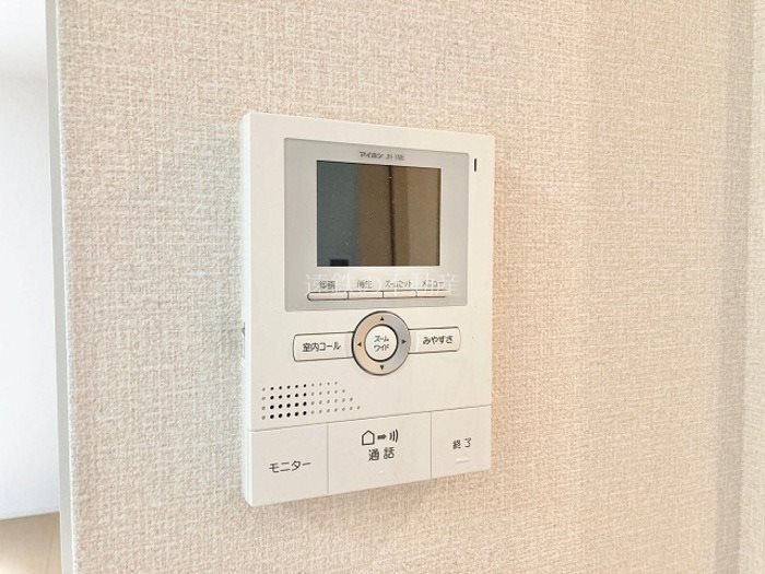 Leonids A その他3