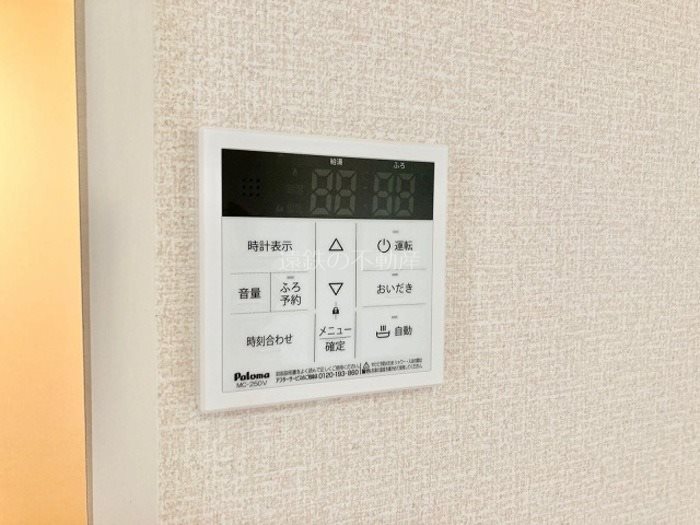 Leonids A その他4