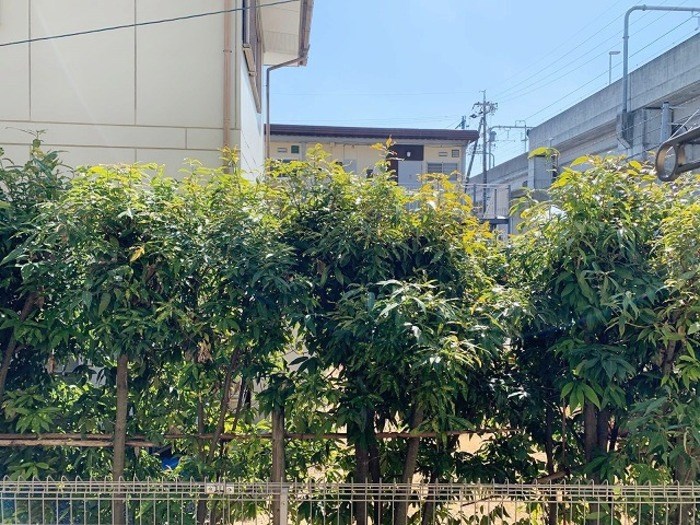 クローバーハウス その他6