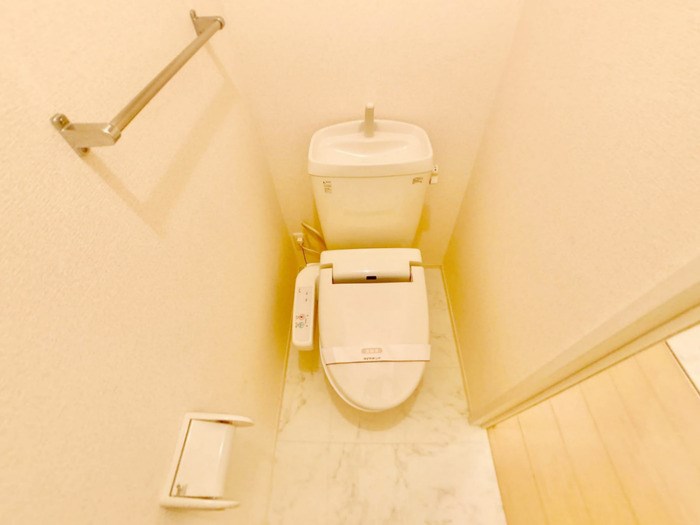 ミステル その他2