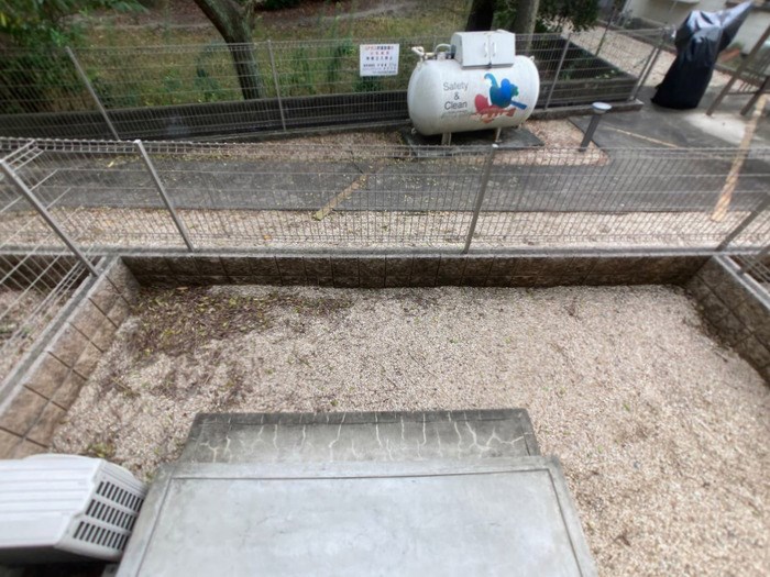 ミステル その他6