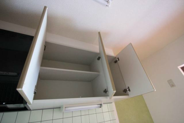 Force Ⅶ その他1