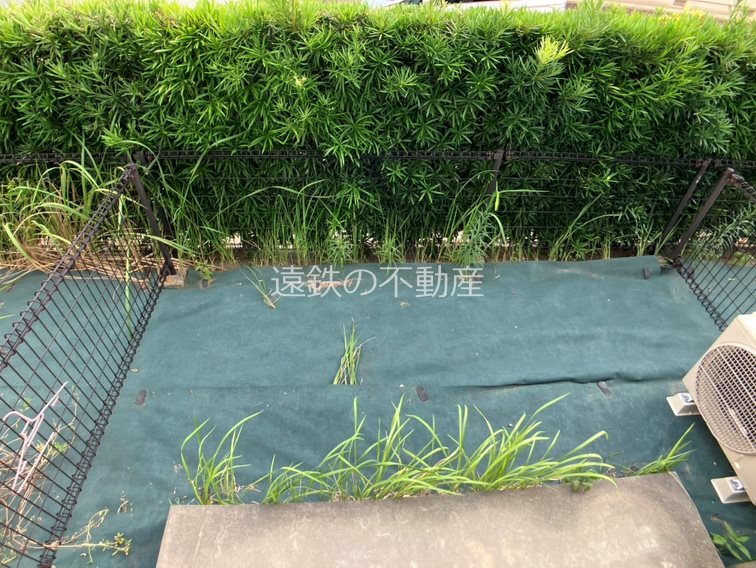 DixieⅢ その他4