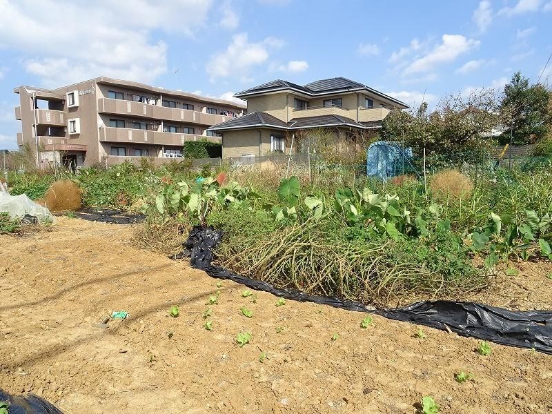 アルフィーネ曳馬野 その他外観5