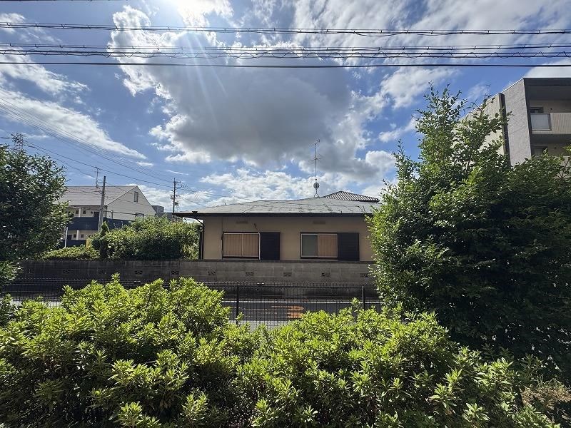 エスペランサAOI その他6