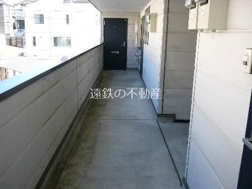 MOMOの実 その他