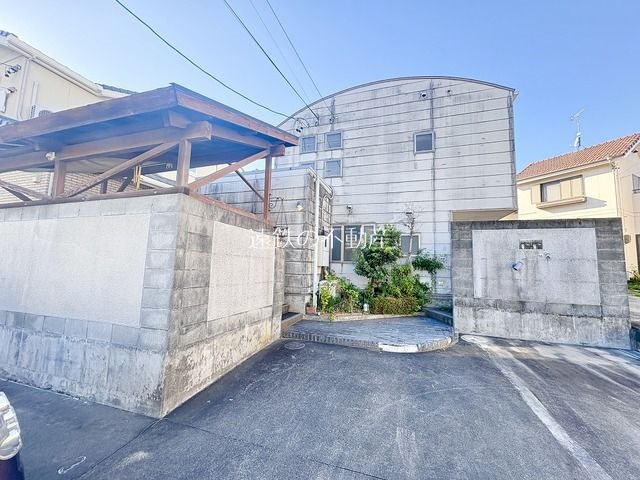 MOMOの実 その他