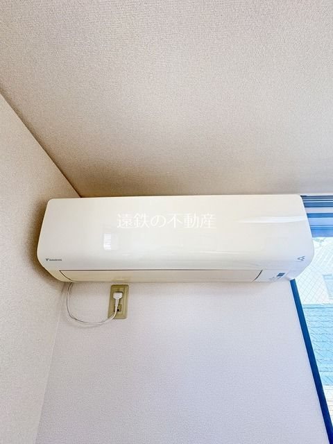 MOMOの実 その他