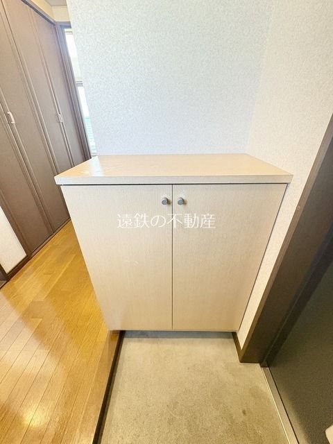 MOMOの実 その他