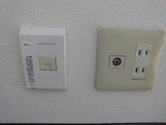 MOMOの実 その他