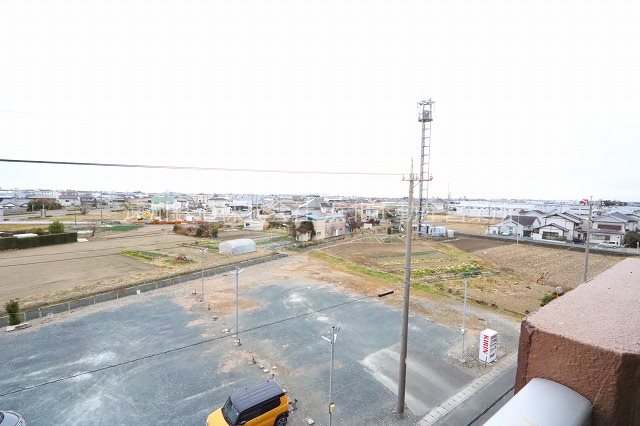 サンフラワーⅢ その他6