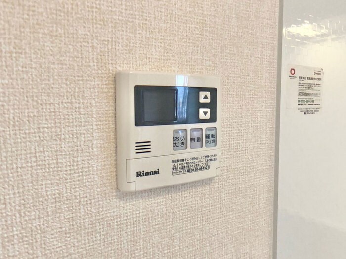 ルーベライト初生　B その他4