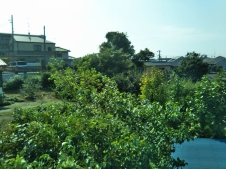 渥美朝陽舘 その他6