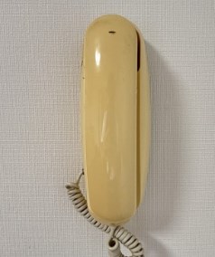 サンメゾン菊川A その他1