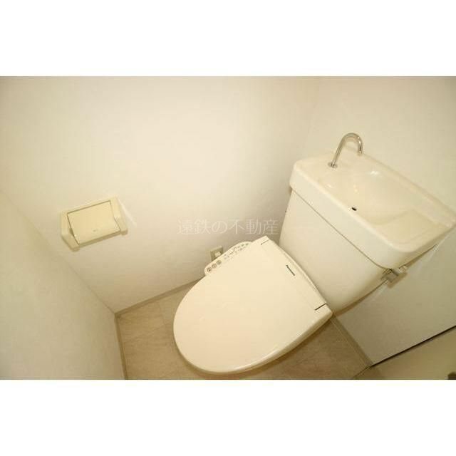 blue rose A その他2