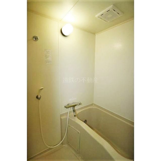 blue rose A 風呂画像