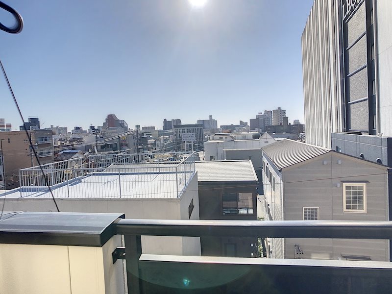 カモミール その他3