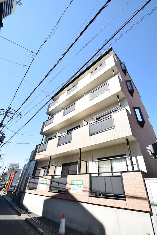 カモミール その他外観1