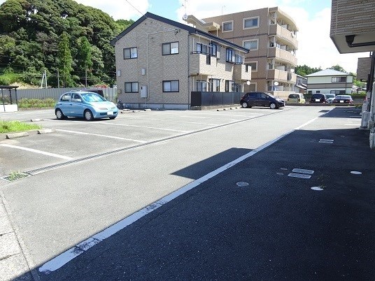ルピナス花 駐車場