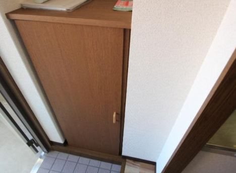 ミモザ その他5