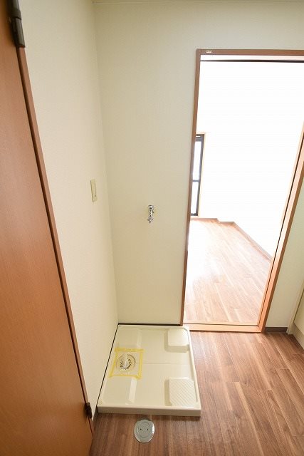 カモミール その他