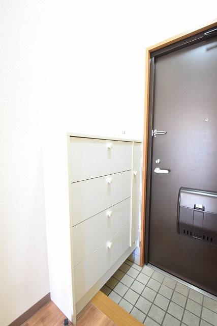 カモミール 収納