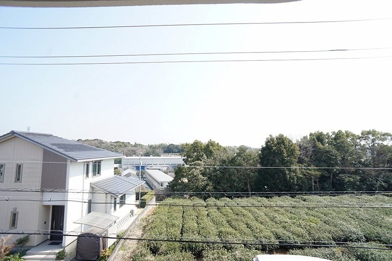 サンデリアーナムーン 眺望