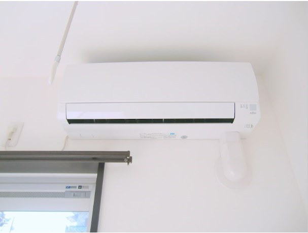 レモンバーム その他5