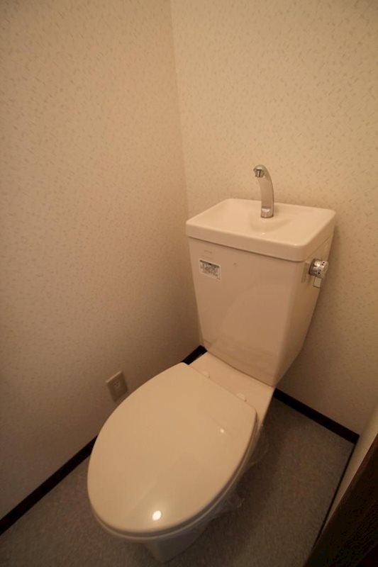 インターラーゲン その他1