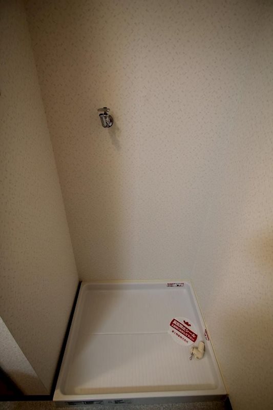 インターラーゲン その他6