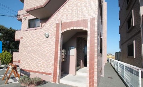 インターラーゲン その他外観4